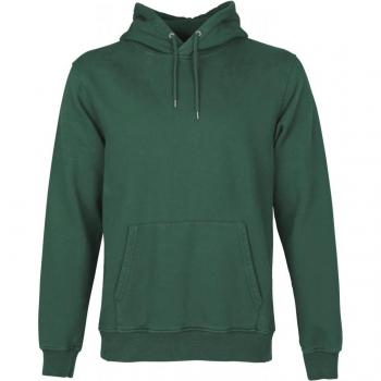Colorful Standard Classic Organic Emerald Green Hoodie