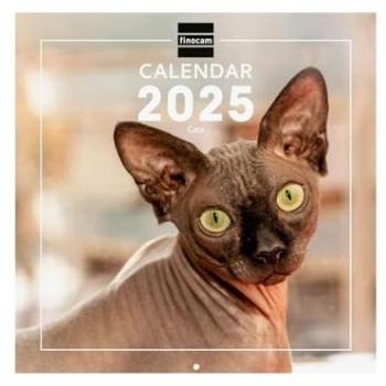 Calendario de Pared Internacional Finocam 2025 con Imágenes de Gatos (Enero-Diciembre, 12 meses, tamaño 30x30 cm)