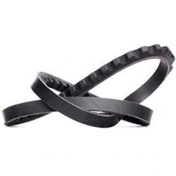 Dayco 10A0665C Correa Trapezoidal