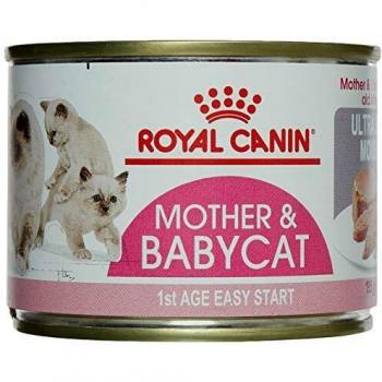 ROYAL CANIN Babycat Instinctive Umido Gatto Gr. 195 - Mangimi Umidi Per Gatti