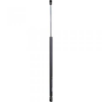 Muelle neumático DIEDERICHS 9167100 para capó de motor