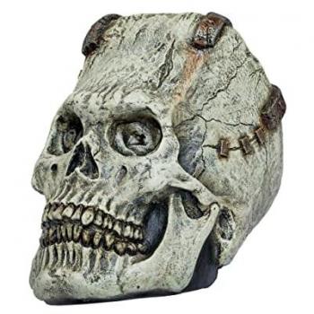 Cráneo Franky de Ghoulish Productions - Prop de Látex Resistente, Pintado a Mano, 198 cm para Halloween y Fiestas