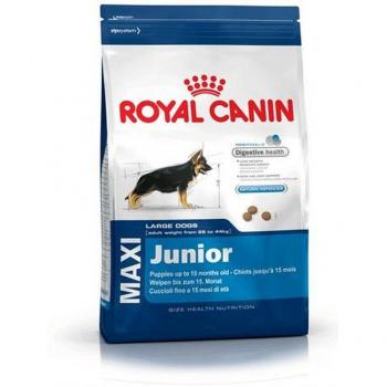 Royal Canin Maxi Junior Alimento para Perros de Raza Grande