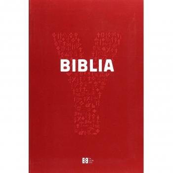 Youcat Biblia joven de La Iglesi - Aavv