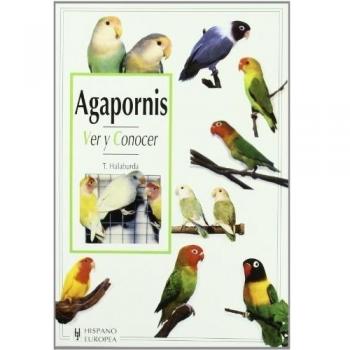 Agapornis