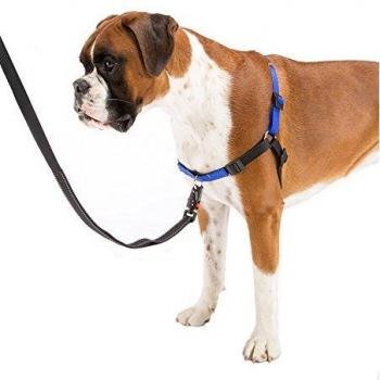 Dorsal Para Perros Coach Ferplast S-M