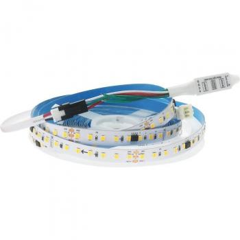 Tira LED Digital 50W 24V DC SMD2835 120 LED/m 10W/m IP20 (5 Metros) Blanco Cálido 3000K