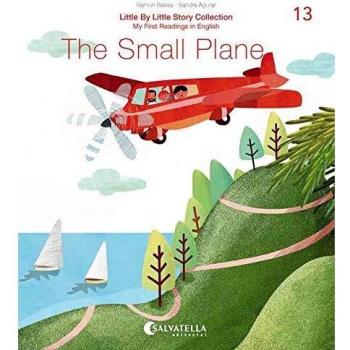 The Small Plane: 13