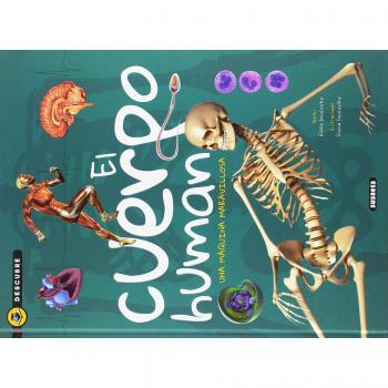 El cuerpo humano - Socolovsky Gisela