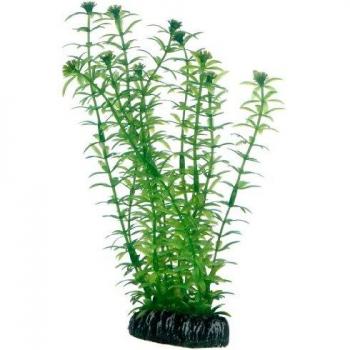 Planta de Acuario Artificial Lagarosiphon 20 cm con Base de Roca Artificial