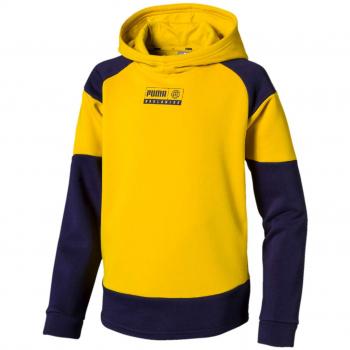 PUMA Alpha Advanced Hoody FL B Sudadera, Niños, Sulphur, 128