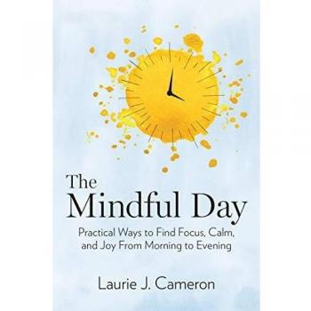 The Mindful Day: Practical Ways to Find Focus, Build Energy, and Create Joy 24/7