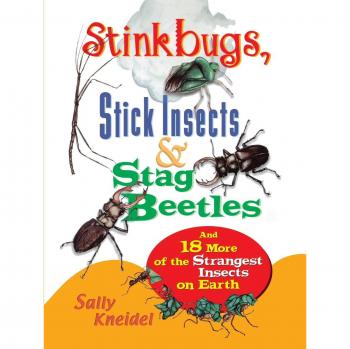 Strange Insects Illustrated: Stink Bugs, Stick Insects & Stag Beetles - A Comprehensive Guide