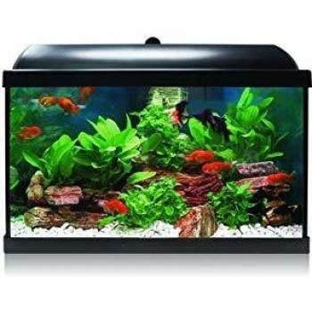 ICA KDI45 Kit Aqua-Led Pro 45 con Filtro Interior, Negro
