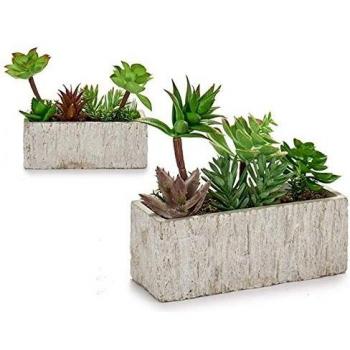 Ibergarden S3604167 Maceta, Verde