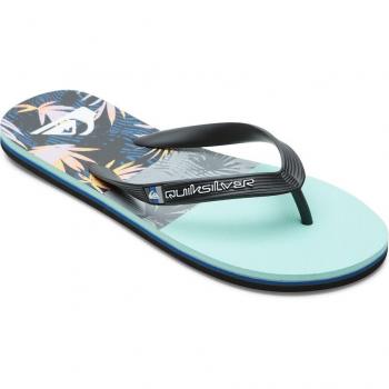 Chanclas de Hombre Molokai Panel Quiksilver