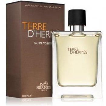 Hermès Terre D'Hermès Eau de Toilette 100ml