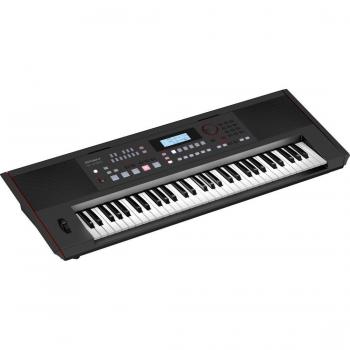 Roland E-X50 61-Key Educational Arranger Keyboard