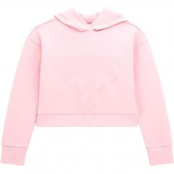 Guess Kids Triangle Logo Hooded Active Sweatshirt
