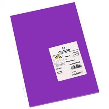 Canson Guarro Cartulina IRIS Pack A4