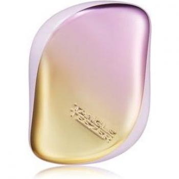 Tangle Teezer Compact Styler Detangling Hairbrush - Lilac/Yellow Chrome, Travel-Friendly with Protective Cover & Two-Tiered Teeth Design, Perfect for Wet, Dry & Flyaway Hair