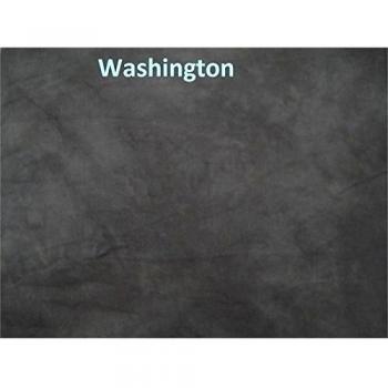 Lastolite Washington - Fondo lavable