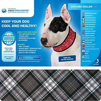 Collar Refrigerante para Perros XL - Gris Cuadros