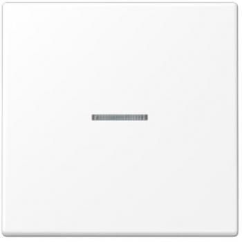 JUNG LS990 Rocker Switch with Control Window, Matte Snow White