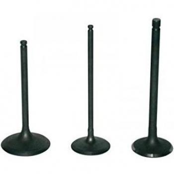 Soupape D'admission Pour Trx300ex 1993-02 Et Trx250x 1987-92
