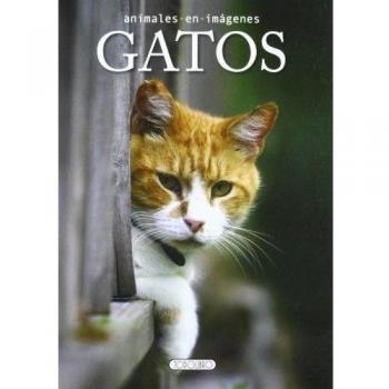 Gatos