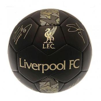Balón de fútbol Liverpool FC Phantom Signature Negro mate/Oro 1