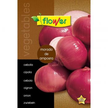 Flower - Sobre semillas de cebolla