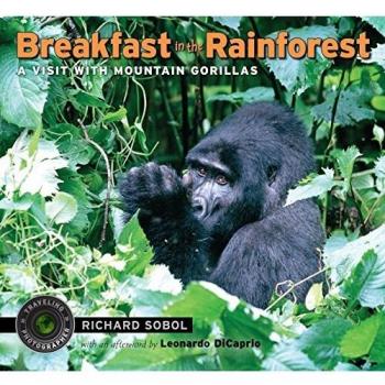 Rainforest Adventure: Mountain Gorilla Breakfast Experience