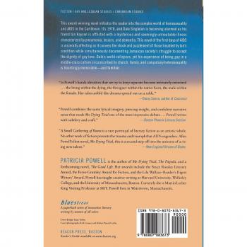 A Small Gathering of Bones by Patricia Powell - Paperback Edition