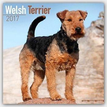 Welsh Terrier 2017: Original Avonside-Kalender