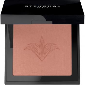 Stendhal Blush Illuminateur 302 Brun Petra 5.5g