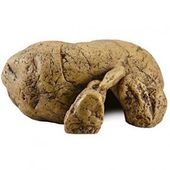 EXO TERRA Cueva Natural Hiding Mediana