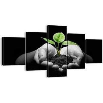 Cuadro sobre lienzo - Impresión de Imagen - Naturaleza planta ciencia protección - 125x70cm - Imagen Impresión - Cuadros Decoracion - Impresión en lienzo - Cuadros Modernos - EA125x70-2188