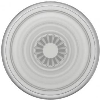 Soporte para Smartphone PopSockets Premium Plant Faded Stone (2ª Generación, Intercambiable)