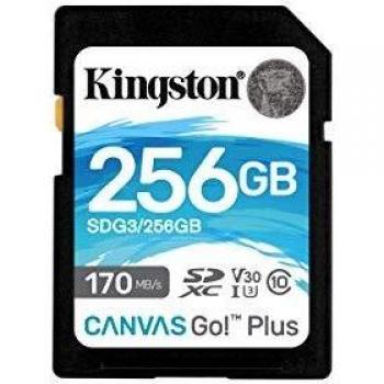 Kingston SDG3/256GB SD Card