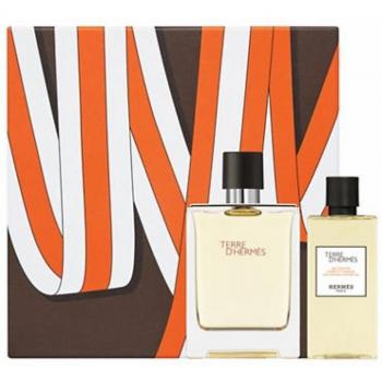 Hermès Terre d’Hermès Gift Set 100ml EDT + 80ml Shower Gel