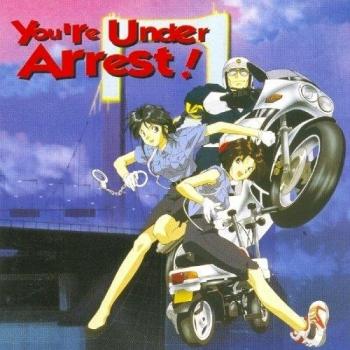 You're Under Arrest