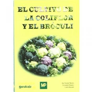 El cultivo de la coliflor y el bróculi