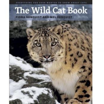 The Wild Cat Book: Everything You Ever Wanted to Know about Cats