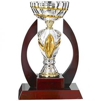 DEPICE único Copa, Plata/Oro, 40 cm, TRO de FS de 4423