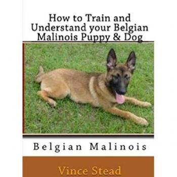 Guía Completa para Entrenar y Comprender a tu Cachorro y Perro Malinois Belga