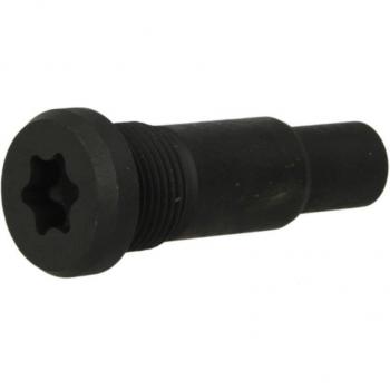 Perno EURORICAMBI 60531671 - Perno de alta calidad, fabricado en acero resistente, diseñado para aplicaciones automotrices, con un tamaño específico y rosca estándar para fácil instalación