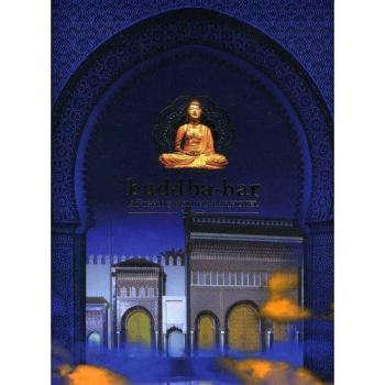 Buddha Bar Hotel: A Night with Ravin (12-CD Box Set)