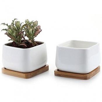 T4U Conjunto de 2 Cerámica Plaza Blanca NO.2 Cerámicos Planta Maceta Suculento Cactus Planta Maceta Planta Contenedor Vivero Maceta Macetas de jardín Macetas Envase