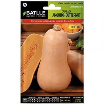 Semillas de Calabaza Anquito-Butternut
